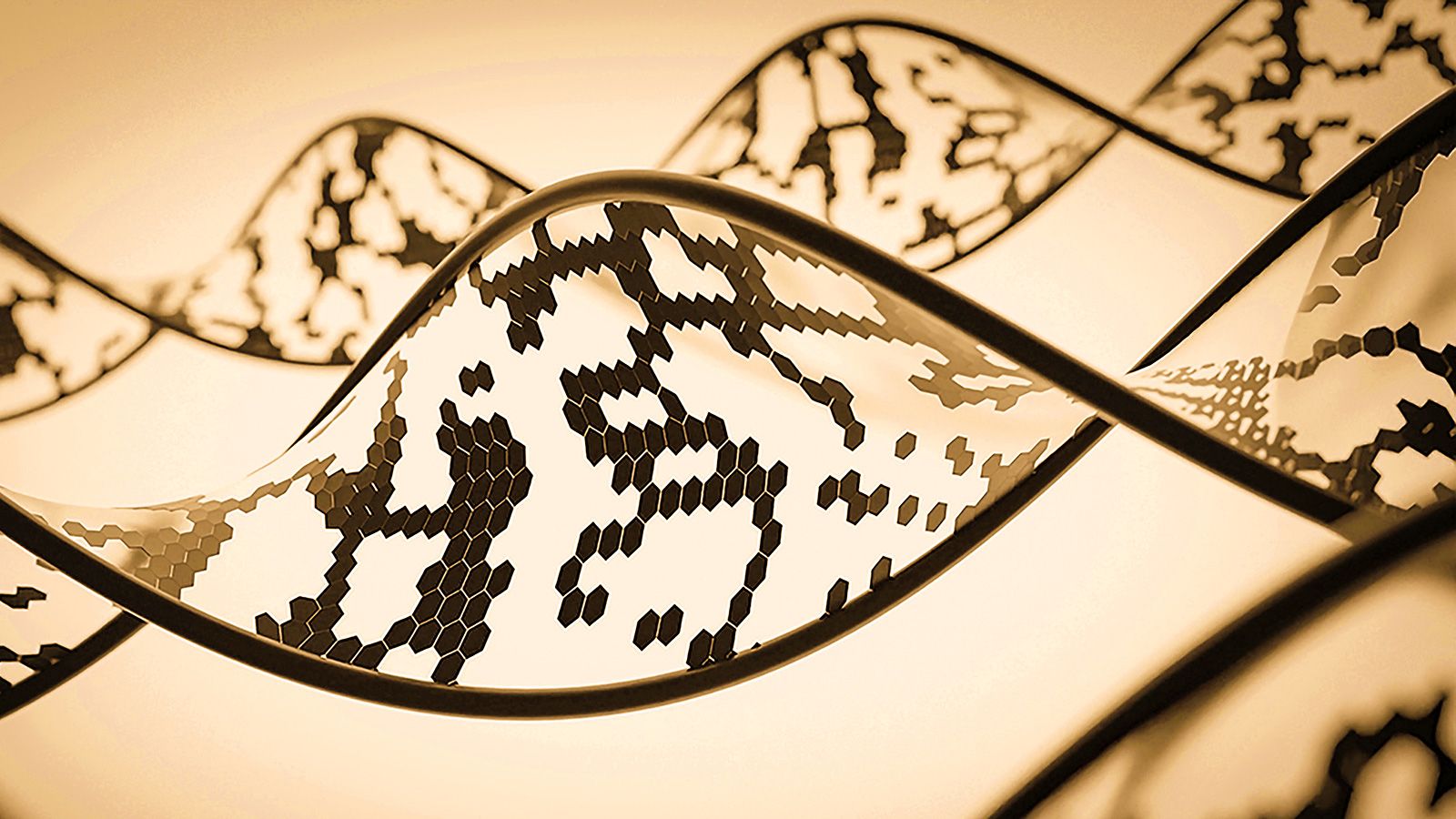 Microscopic view of sperm cells representing DNA fragmentation testing